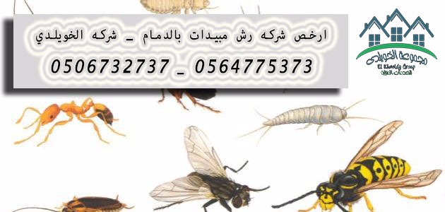 ارخص شركه رش مبيدات حشرية _ شركة الخويلدي